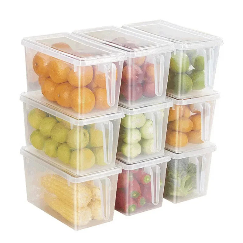 Food storage box witrh handle