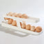 Egg Roller Storage FR1574