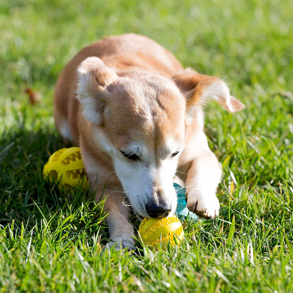 Rubber Feeder Pet Ball