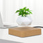 Floating Flower Pot Gadget