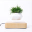 Floating Flower Pot Gadget