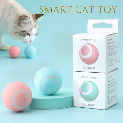 Smart Pet Gravity Ball FR1332