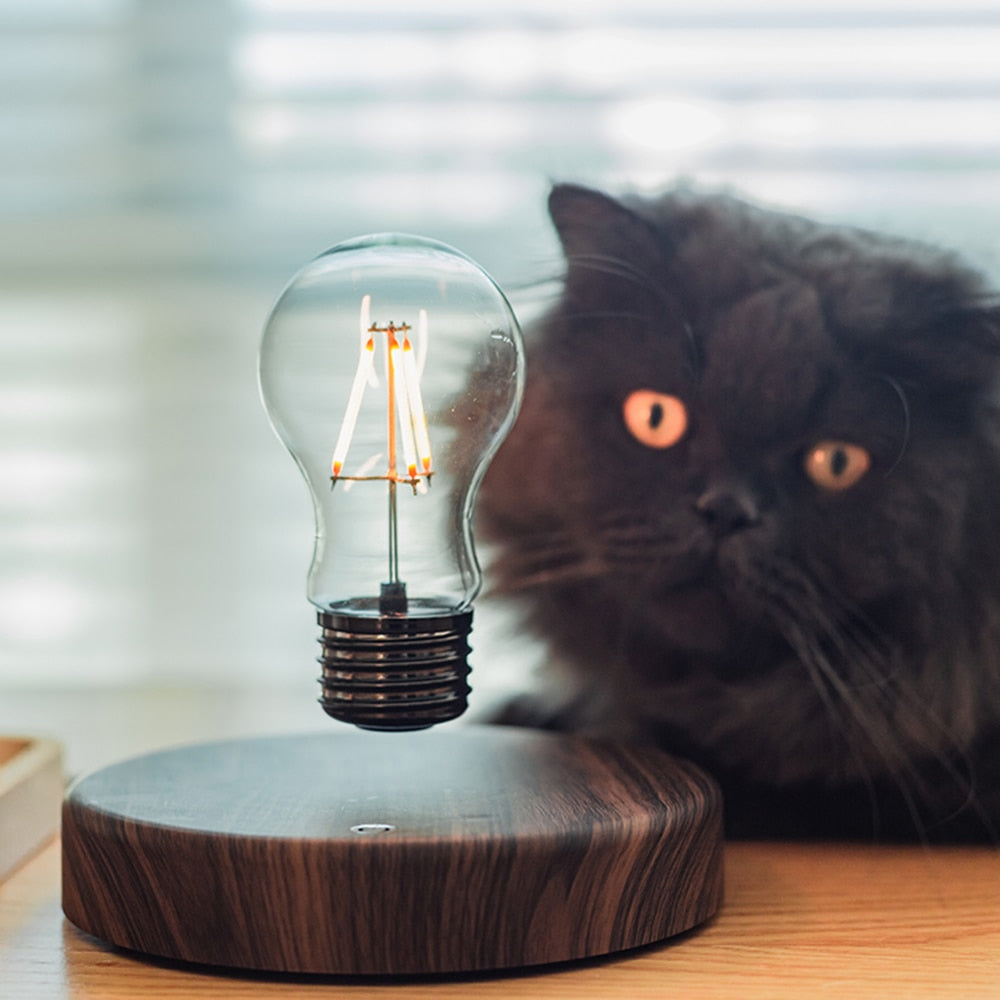 Levitation Lamp