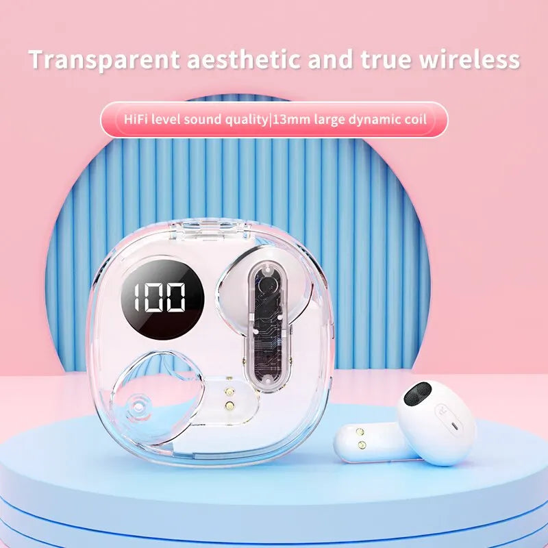 Apro138 Transparent Earphone