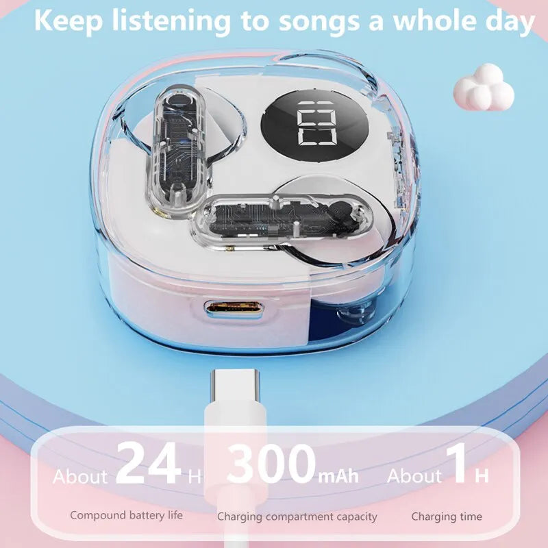 Apro138 Transparent Earphone