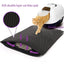 Double Layer Pet Mat