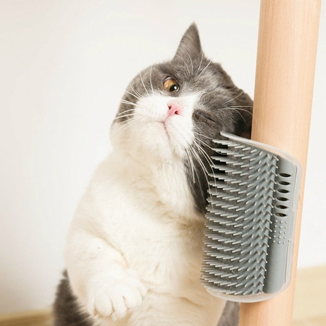 Corner Massage Pet Brush