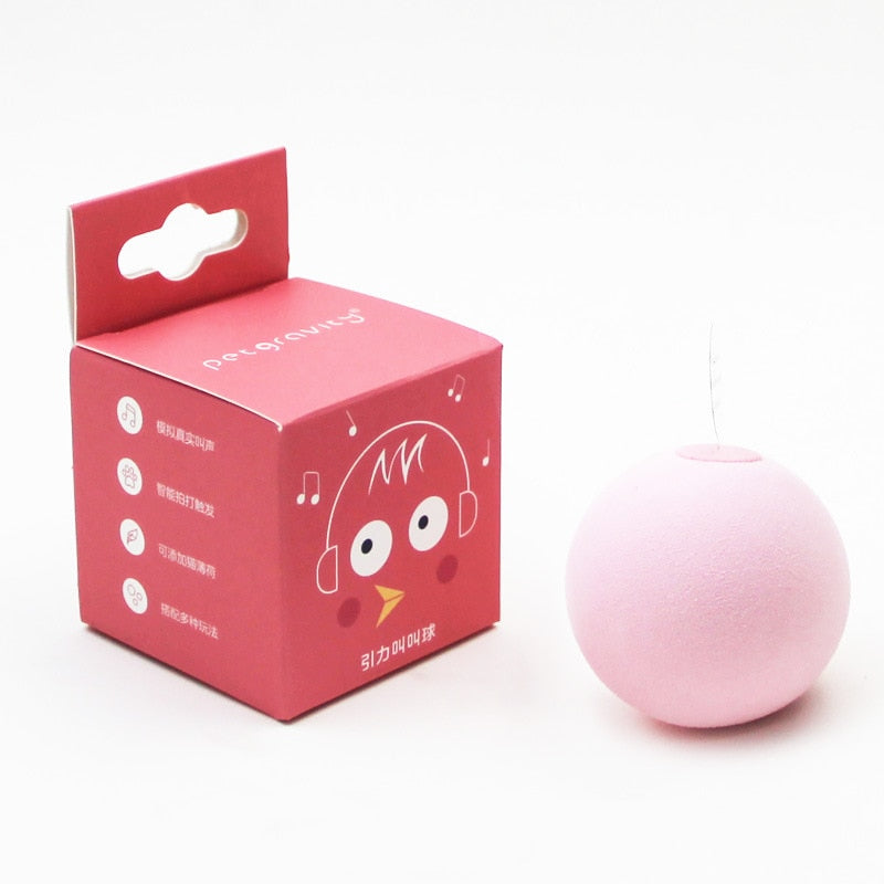 Sound Ball Pet Toy