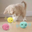 Sound Ball Pet Toy